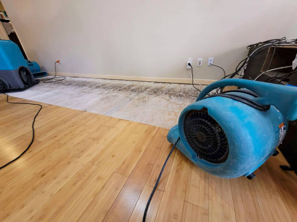 Professional Structural Drying technician working in Atlas, MI